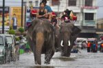 Наводнение в Таиланде идет на спад, аномально теплый ноябрь в  Англии и суровая зима в Белоруссии