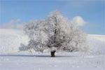 Rainy weather in Greece and Australia, frosts in Greece