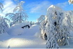 Снігопади й морози в Італії та Фінляндії