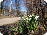 Прогноз Погоды Для Украины Начало Весны